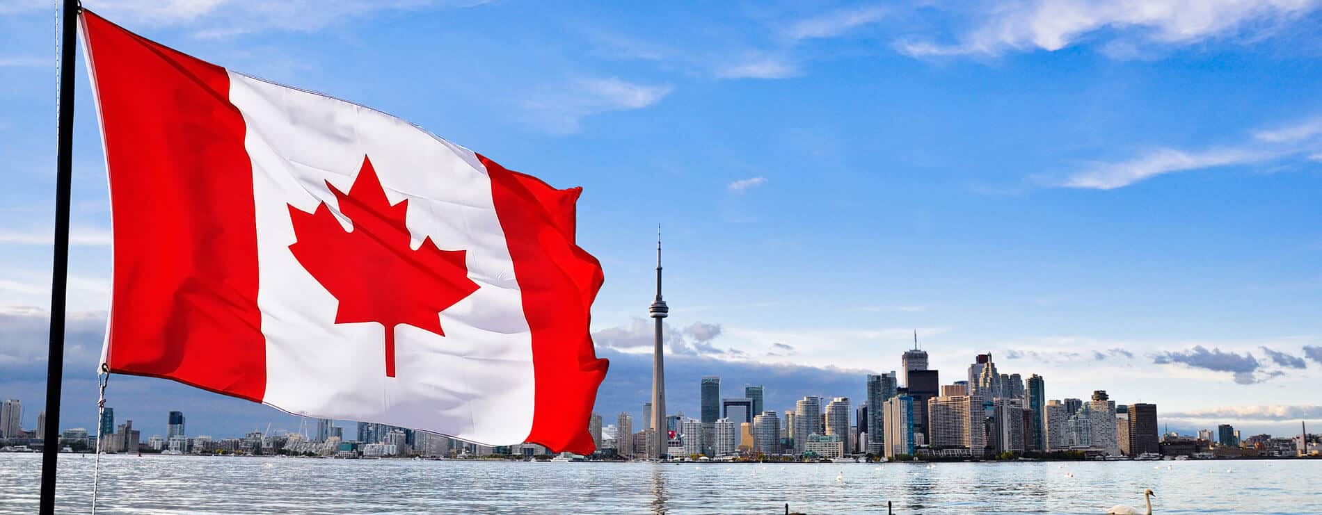Close-up of flapping Canadian flag with Toronto skyline in background