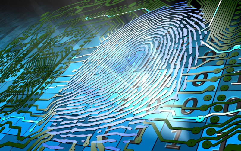 biometric-fingerprint-based-identification