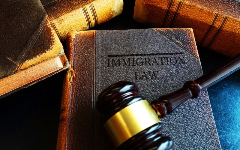 immigration law concept